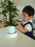 Infancy